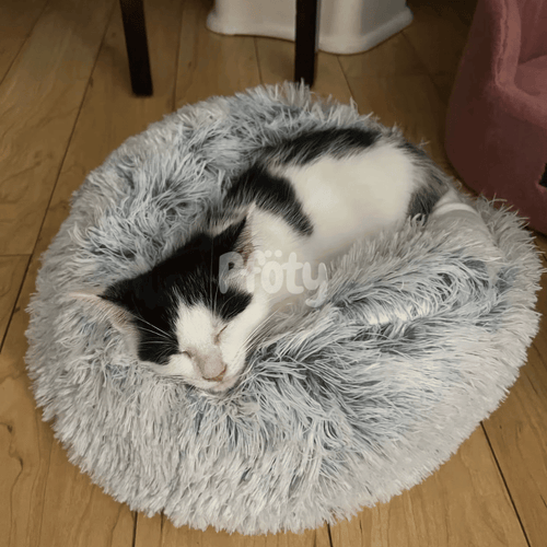Plushy cocoon | Bett